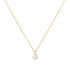 Gold Shell Pearl Drop Pendant Necklace